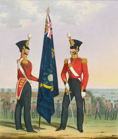 Royal Marines (Subalterns) 2nd Lieutenant Carrying Divisional Colours, plate 15 from 